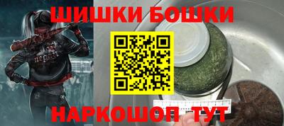 индика Аргун