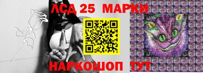 индика Аргун