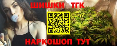 индика Аргун