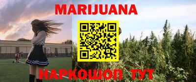 индика Аргун