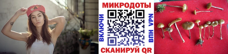 наркошоп  Астрахань  нарко площадка телеграм  Псилоцибиновые грибы ЛСД 