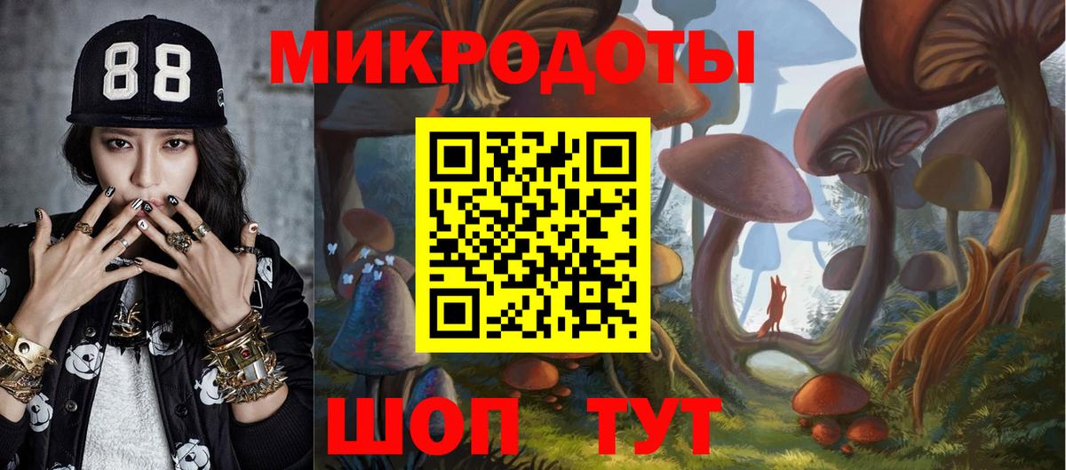 Астрахань  Псилоцибиновые грибы Cubensis  Вход с VPN 