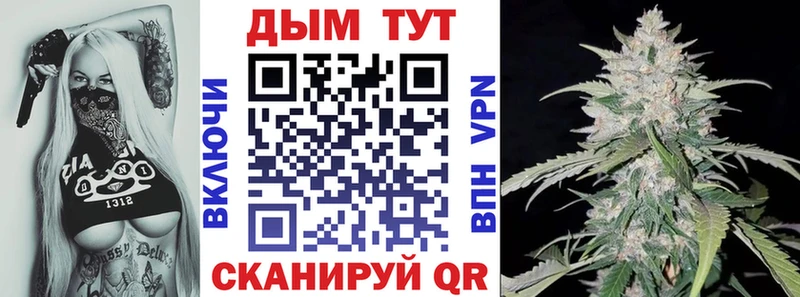 купить наркоту  Астрахань  KRAKEN зеркало  Каннабис тримм 